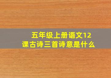 五年级上册语文12课古诗三首诗意是什么