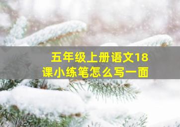 五年级上册语文18课小练笔怎么写一面