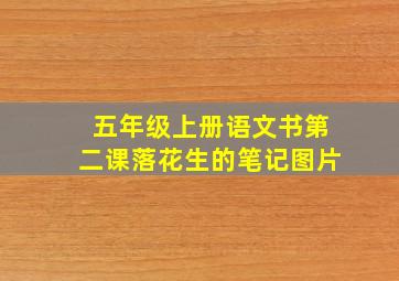 五年级上册语文书第二课落花生的笔记图片