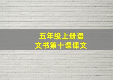 五年级上册语文书第十课课文