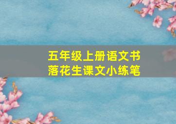 五年级上册语文书落花生课文小练笔