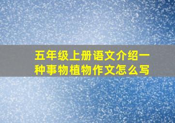 五年级上册语文介绍一种事物植物作文怎么写