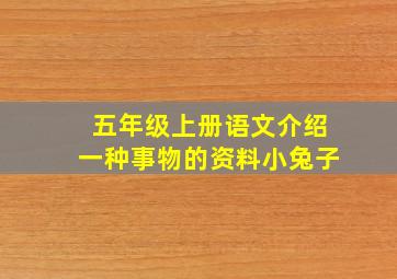 五年级上册语文介绍一种事物的资料小兔子