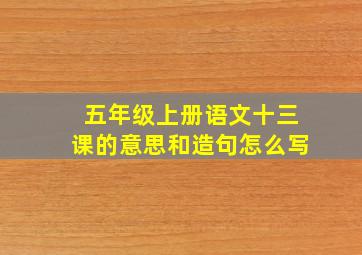 五年级上册语文十三课的意思和造句怎么写