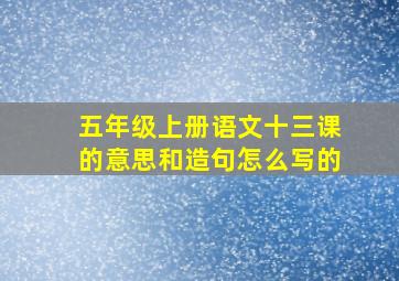 五年级上册语文十三课的意思和造句怎么写的