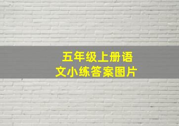 五年级上册语文小练答案图片