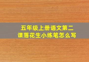 五年级上册语文第二课落花生小练笔怎么写