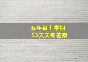 五年级上学期53天天练答案