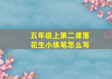 五年级上第二课落花生小练笔怎么写