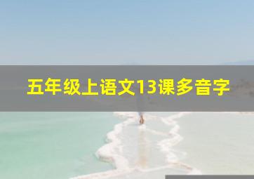 五年级上语文13课多音字