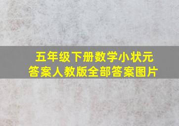 五年级下册数学小状元答案人教版全部答案图片