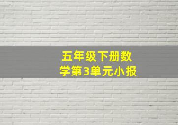 五年级下册数学第3单元小报