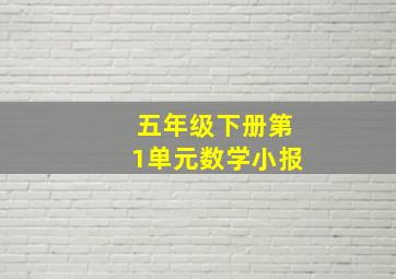 五年级下册第1单元数学小报