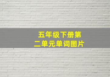 五年级下册第二单元单词图片