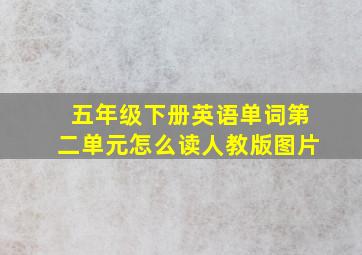 五年级下册英语单词第二单元怎么读人教版图片