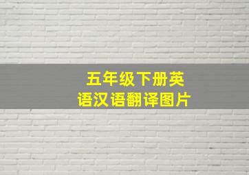 五年级下册英语汉语翻译图片