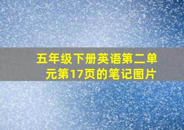 五年级下册英语第二单元第17页的笔记图片