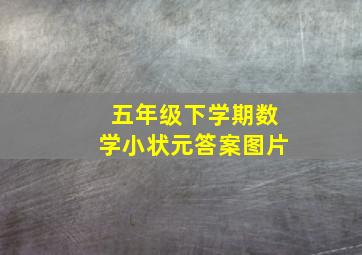 五年级下学期数学小状元答案图片