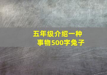 五年级介绍一种事物500字兔子