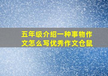 五年级介绍一种事物作文怎么写优秀作文仓鼠