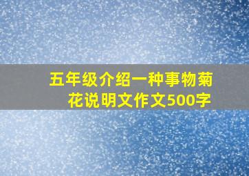 五年级介绍一种事物菊花说明文作文500字