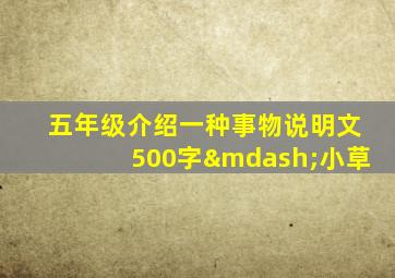 五年级介绍一种事物说明文500字—小草