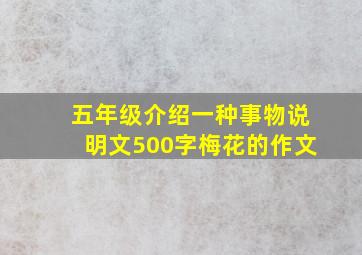 五年级介绍一种事物说明文500字梅花的作文