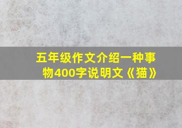 五年级作文介绍一种事物400字说明文《猫》