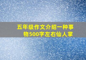 五年级作文介绍一种事物500字左右仙人掌