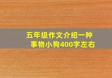 五年级作文介绍一种事物小狗400字左右