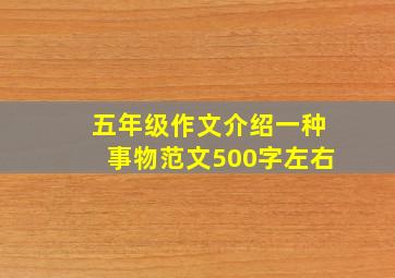 五年级作文介绍一种事物范文500字左右