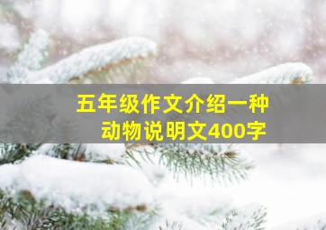 五年级作文介绍一种动物说明文400字