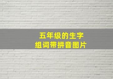 五年级的生字组词带拼音图片