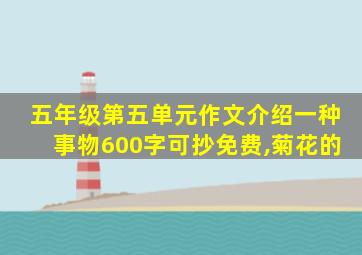 五年级第五单元作文介绍一种事物600字可抄免费,菊花的