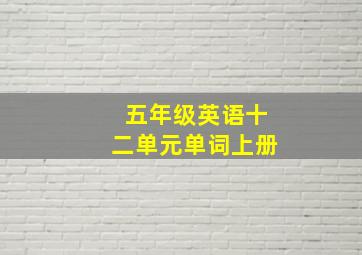 五年级英语十二单元单词上册