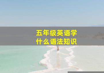 五年级英语学什么语法知识