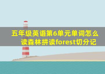 五年级英语第6单元单词怎么读森林拼读forest切分记