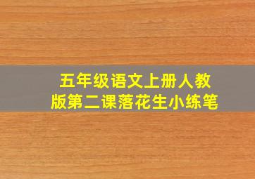 五年级语文上册人教版第二课落花生小练笔