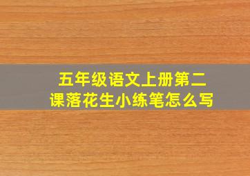 五年级语文上册第二课落花生小练笔怎么写