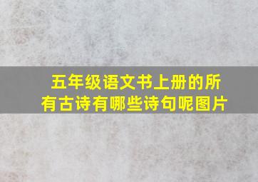 五年级语文书上册的所有古诗有哪些诗句呢图片