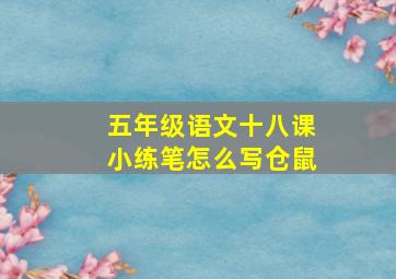 五年级语文十八课小练笔怎么写仓鼠