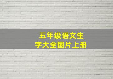 五年级语文生字大全图片上册