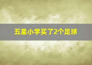 五星小学买了2个足球