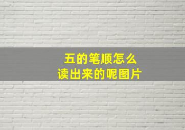 五的笔顺怎么读出来的呢图片