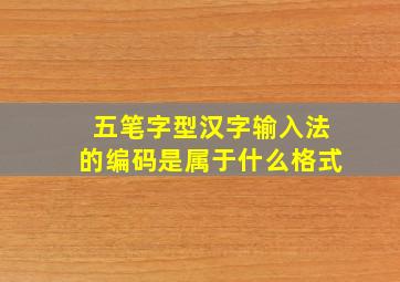 五笔字型汉字输入法的编码是属于什么格式