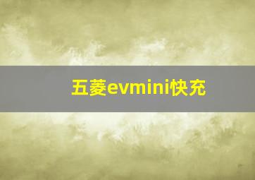 五菱evmini快充