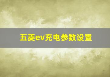 五菱ev充电参数设置