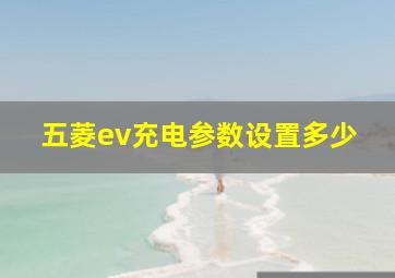 五菱ev充电参数设置多少