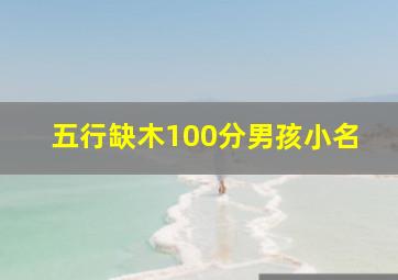 五行缺木100分男孩小名