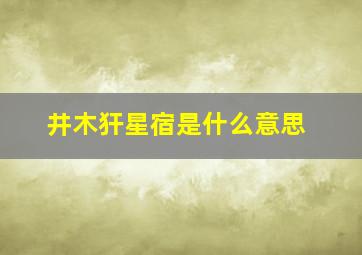 井木犴星宿是什么意思